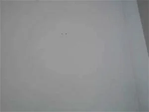 Watch from 0:21:59