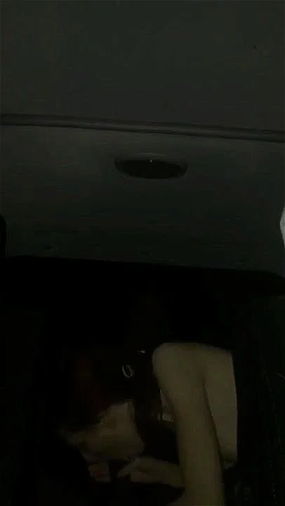 fvgtsx fvgtsx