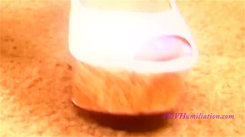 Short Dick Cuckiee: Pov, Fetish & Humiliation Porn - SpankBang