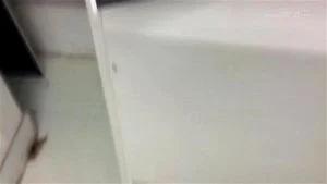 Watch from 0:08:33