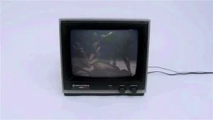 Watch from 0:25:44