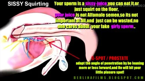 Anatomy Shemale Porn - Watch Smack my sissy bitch - Sissy, Tranny, Shemale Porn - SpankBang