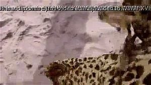 Watch from 0:00:59