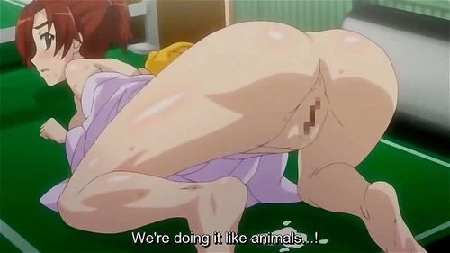 hentai anime, big tits, hentai