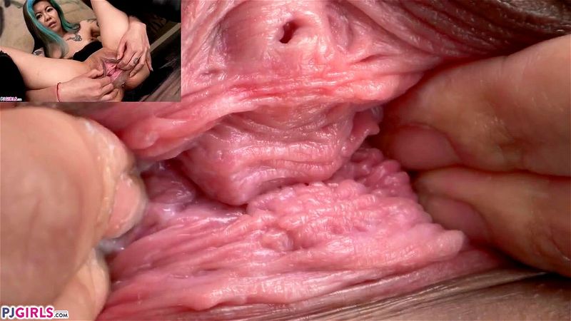 pussy pussy