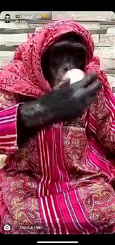 Watch from 0:00:08
