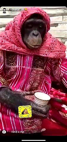 Watch from 0:00:17