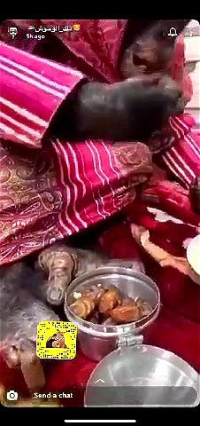 Watch from 0:01:20