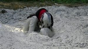 Quicksand thumbnail