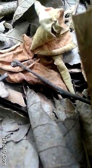 Watch from 0:01:09