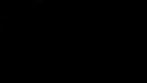 Watch from 0:24:05