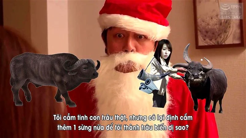 djjd djjd