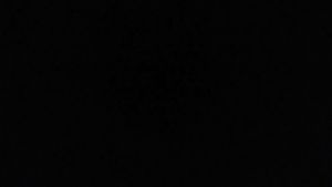 Ab 0:00:08 ansehen