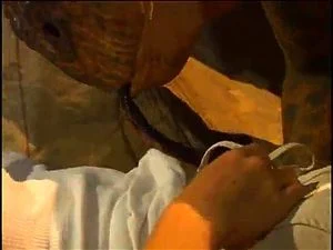 Watch from 0:04:59