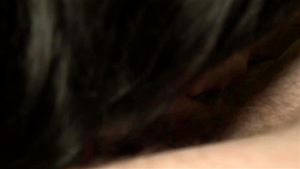 3300 thumbnail