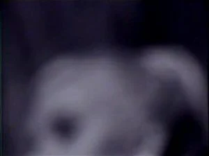 Watch from 0:00:55