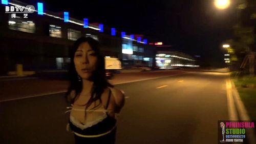 BDSM CHINESE Porn - SpankBang