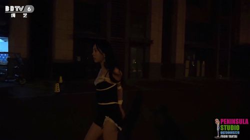 BDSM CHINESE Porn - SpankBang