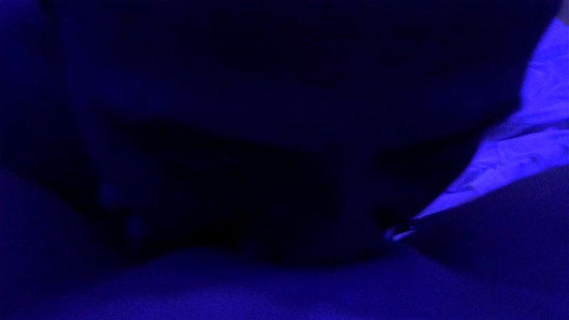 late night pussy eating late night pussy eating