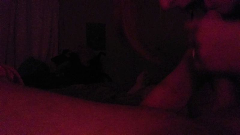 Wifexxbj Wifexxbj