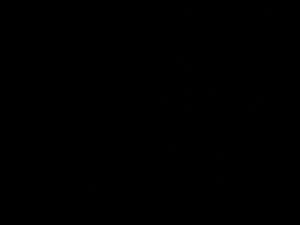 Ab 0:00:05 ansehen