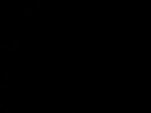 Ab 0:00:29 ansehen
