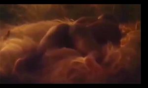Watch from 0:01:29