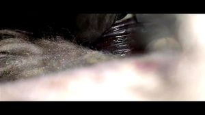 Watch from 0:01:39