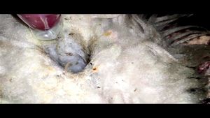 Watch from 0:01:09