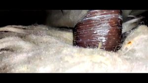 Watch from 0:01:29