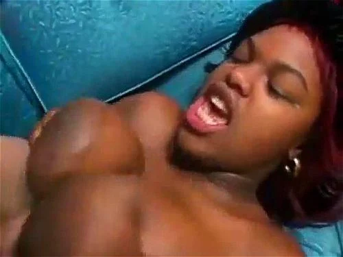 Ebony Midget