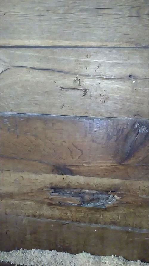 solo, wooden, amateur, wood