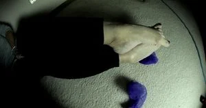 Feet thumbnail