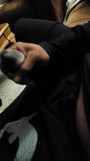 Watch from 0:02:12