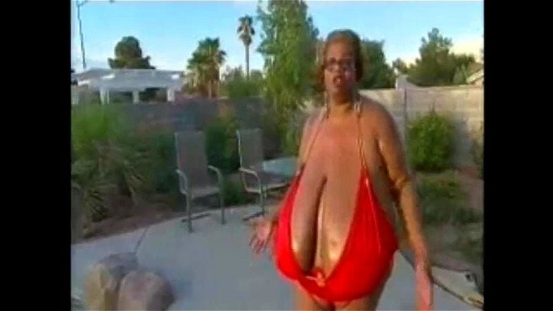 norma stitz norma stitz