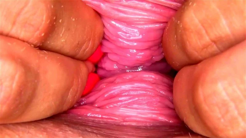 Paula Shows Us A Pry-vate Place Between Her Thighs! Paula Shows Us A Pry-vate Place Between Her Thighs!
