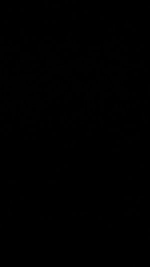Ab 0:01:11 ansehen