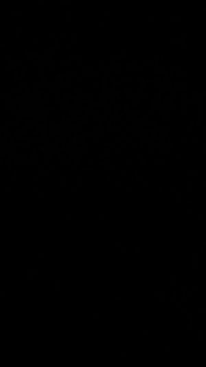 Ab 0:01:20 ansehen