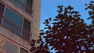 Watch from 0:08:05