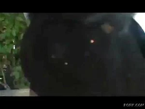 Watch from 0:03:14