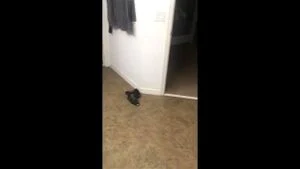 Watch from 0:04:29