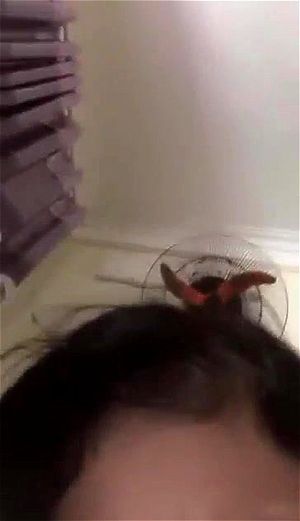 Ver a partir de 0:01:41