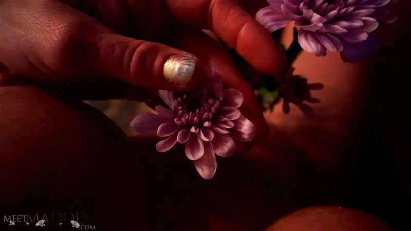 M@DDEN_Sweet_Petals M@DDEN_Sweet_Petals