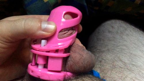 amateur, toy, chastity cage, solo
