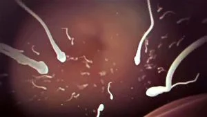 BBC Cum thumbnail