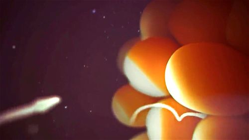 Watch B is for Black Breeding - Breeding, Bbc, Pmv Porn