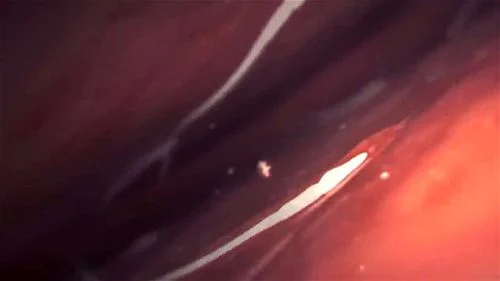 Watch B is for Black Breeding - Breeding, Bbc, Pmv Porn