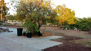 drone bone - get your drone on.