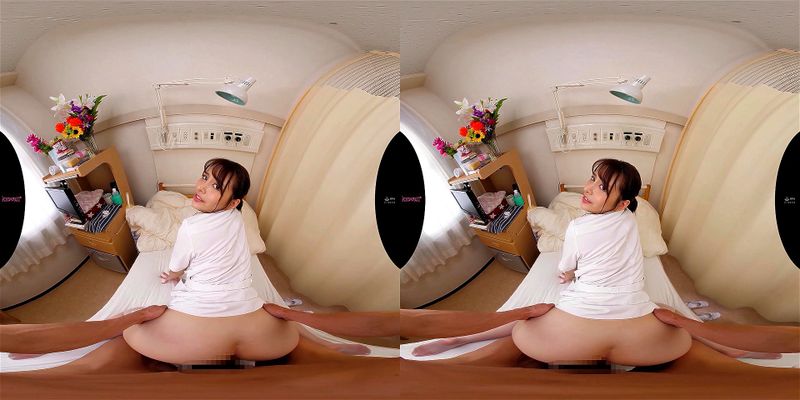 JAV VR002-4 JAV VR002-4