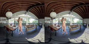 Mfc vr thumbnail